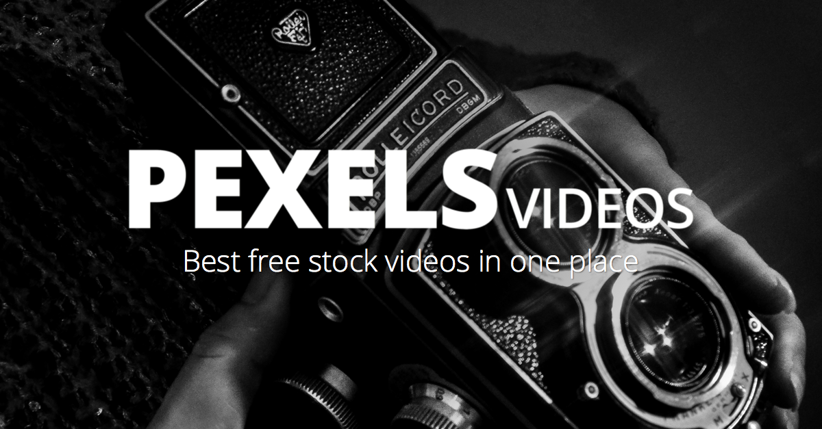 pexels videos promo 643f71e26c8a6a56c37f8b47d3b1058e4c96441fea7fc8b2dc4ad5da23919f5d